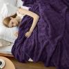 imageBedsure GentleSoft Twin Blanket for Bed  Super Soft Cozy Blankets for Kids Girls Cute Fuzzy Fleece Throws for Bedroom Couch Light Yellow 60x80 InchesPurple