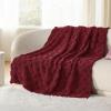 imageBedsure GentleSoft Twin Blanket for Bed  Super Soft Cozy Blankets for Kids Girls Cute Fuzzy Fleece Throws for Bedroom Couch Light Yellow 60x80 InchesRed