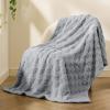 imageBedsure GentleSoft Twin Blanket for Bed  Super Soft Cozy Blankets for Kids Girls Cute Fuzzy Fleece Throws for Bedroom Couch Light Yellow 60x80 InchesSilver Grey