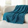 imageBedsure GentleSoft Twin Blanket for Bed  Super Soft Cozy Blankets for Kids Girls Cute Fuzzy Fleece Throws for Bedroom Couch Light Yellow 60x80 InchesTeal