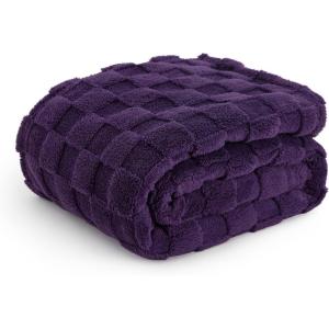 imageBedsure GentleSoft Twin Blanket for Bed  Super Soft Cozy Blankets for Kids Girls Cute Fuzzy Fleece Throws for Bedroom Couch Light Yellow 60x80 InchesPurple