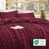 imageBedsure Boho Comforter Set Queen  Olive Green Tufted Queen Size Comforter 3 Pieces FarmhouseStyle Embroidery Bed Set Soft Fluffy Geometric Pattern Bedding for All Seasons27  Burgundy  Elegant