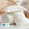 imageBedsure Boho Comforter Set Queen  Olive Green Tufted Queen Size Comforter 3 Pieces FarmhouseStyle Embroidery Bed Set Soft Fluffy Geometric Pattern Bedding for All Seasons03  Ivory  Diamond Like
