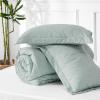 imageBedsure King Size Comforter Set Black  Bed in a Bag King Bedding 7 Pieces Cationic Dyed Bed Set Gift for Family Black Soft Bedding for All Seasons Comforter with Sheets Pillowcases amp Shams02  Mint Green Melange