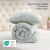 imageBedsure Purple Comforter Set Queen GentleSoft 3 Pieces Breathable Bow Comforter Set Women Girls with 2 Pillow Shams Cute Queen Bedding Sets Purple Room Decor Aesthetic Bedroom Decor 90x90 Inches01  Bow Sage Green