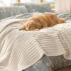 imageBedsure ComfyFleece Waterproof Blanket for Bed  Soft Plush Dog Blankets for Large Dogs Corduroy Fleece Washable Cozy Calming Reversible Furniture Protection for Pet Cat86x90 QueenCreamCream