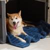 imageBedsure ComfyFleece Waterproof Blanket for Bed  Soft Plush Dog Blankets for Large Dogs Corduroy Fleece Washable Cozy Calming Reversible Furniture Protection for Pet Cat86x90 QueenCreamNight Blue