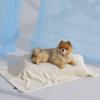 imageBedsure Cooling Blanket for Large Dogs with Breathable AirCore Fill QMAXgt04  Dog Cooling Mat Soft Lightweight Pet Cat Throw Cold Blanket Washable for Summer Beige 40x50Beige