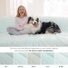imageBedsure Cooling Blanket for Large Dogs with Breathable AirCore Fill QMAXgt04  Dog Cooling Mat Soft Lightweight Pet Cat Throw Cold Blanket Washable for Summer Beige 40x50Pale Jade