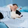 imageBedsure Cooling Blanket for Large Dogs with Breathable AirCore Fill QMAXgt04  Dog Cooling Mat Soft Lightweight Pet Cat Throw Cold Blanket Washable for Summer Beige 40x50Arctic Blue