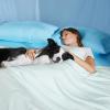imageBedsure Cooling Blanket for Large Dogs with Breathable AirCore Fill QMAXgt04  Dog Cooling Mat Soft Lightweight Pet Cat Throw Cold Blanket Washable for Summer Beige 40x50Pale Jade