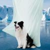 imageBedsure Cooling Blanket for Large Dogs with Breathable AirCore Fill QMAXgt04  Dog Cooling Mat Soft Lightweight Pet Cat Throw Cold Blanket Washable for Summer Beige 40x50Pale Jade