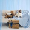 imageBedsure Cooling Blanket for Large Dogs with Breathable AirCore Fill QMAXgt04  Dog Cooling Mat Soft Lightweight Pet Cat Throw Cold Blanket Washable for Summer Beige 40x50Arctic Blue