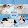 imageBedsure Cooling Blanket for Large Dogs with Breathable AirCore Fill QMAXgt04  Dog Cooling Mat Soft Lightweight Pet Cat Throw Cold Blanket Washable for Summer Beige 40x50Pale Jade