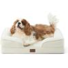imageBedsure L Plus Cooling Dog Bed for Large Dogs  Orthopedic Dog Cat Cooling Bed Washable Big Comfort Dogs Couch Sofa with Waterproof Removable Cover Pet Bed with Nonskid Bottom Cooling Blue 38Beige