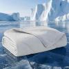 imageBedsure Cooling Blanket for Large Dogs with Breathable AirCore Fill QMAXgt04  Dog Cooling Mat Soft Lightweight Pet Cat Throw Cold Blanket Washable for Summer Beige 40x50Pearl Grey