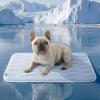 imageBedsure Cooling Dog Mat Extra Large  QMaxgt04 XL Thin Breathable Cold Crate Pad Indoor for Pets with Chill Cool Fiber as Cooling TopperPortable Washable Kennel Mat in Outdoor Summer 41x28 BlueBlue