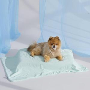 imageBedsure Cooling Blanket for Large Dogs with Breathable AirCore Fill QMAXgt04  Dog Cooling Mat Soft Lightweight Pet Cat Throw Cold Blanket Washable for Summer Beige 40x50Pale Jade