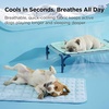 image:imageBedsure Cooling Mat for Large Dogs QMaxgt05 Thin Breathable Cold Crate Pad for Pet Portable Washable Kennel Bed for Summer Active Dog with Chill Cool Soothing Fabric to Rapid Cooling 35x23 GreenLight Green