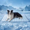 image:imageBedsure Cooling Mat for Large Dogs QMaxgt05 Thin Breathable Cold Crate Pad for Pet Portable Washable Kennel Bed for Summer Active Dog with Chill Cool Soothing Fabric to Rapid Cooling 35x23 GreenBaby Blue