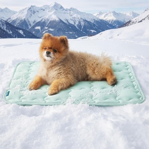 image:imageBedsure Cooling Mat for Large Dogs QMaxgt05 Thin Breathable Cold Crate Pad for Pet Portable Washable Kennel Bed for Summer Active Dog with Chill Cool Soothing Fabric to Rapid Cooling 35x23 GreenLight Green