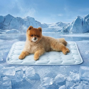 image:imageBedsure Cooling Mat for Large Dogs QMaxgt05 Thin Breathable Cold Crate Pad for Pet Portable Washable Kennel Bed for Summer Active Dog with Chill Cool Soothing Fabric to Rapid Cooling 35x23 GreenBaby Blue