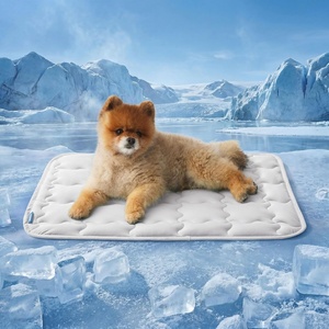 image:imageBedsure Cooling Mat for Large Dogs QMaxgt05 Thin Breathable Cold Crate Pad for Pet Portable Washable Kennel Bed for Summer Active Dog with Chill Cool Soothing Fabric to Rapid Cooling 35x23 GreenPearl Grey