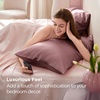 image:imageBedsure Satin Pillowcases Similar to Silk Pillow Cases Queen Size Set of 2 Pure White Cooling Pillow Case for Sleeping Women with Envelope Closure Gifts for Women Men 20x30 Inches 2pcs27  Nostalgia Rose