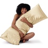 image:imageBedsure Satin Pillowcases Similar to Silk Pillow Cases Queen Size Set of 2 Pure White Cooling Pillow Case for Sleeping Women with Envelope Closure Gifts for Women Men 20x30 Inches 2pcs29  Champagne