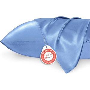 image:imageBedsure Satin Pillowcases Similar to Silk Pillow Cases Queen Size Set of 2 Pure White Cooling Pillow Case for Sleeping Women with Envelope Closure Gifts for Women Men 20x30 Inches 2pcs28  Sky Blue