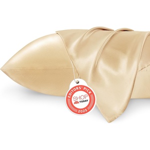 image:imageBedsure Satin Pillowcases Similar to Silk Pillow Cases Queen Size Set of 2 Pure White Cooling Pillow Case for Sleeping Women with Envelope Closure Gifts for Women Men 20x30 Inches 2pcs29  Champagne