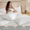 image:imageBedsure 100 Cotton Percale Duvet Cover Queen Luxury Hotel Duvet Cover White Comforter Cover with Embroidery PureWoven Breathable amp Lightweight Bedding Set for All Season 3 Pieces 90x9003  Hotel Leaf Edge