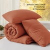 image:imageBedsure King Comforter Set Dark Green Soft Prewashed Bedding for All Seasons 3 Pieces GentleSoft Bed Set 1 Lightweight Comforter 104x90 and 2 Pillowcases 20x3628  Orange
