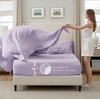 image:imageBedsure Oversized King Comforter Set Grey  Bed in a Bag Bedding Set 7 Pieces GentleSoft Pintuck Bed Set Gift for Family Pinch Pleat Grey Comforter with Sheets Pillowcases amp Shams13  Light Purple