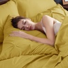 image:imageBedsure Oversized King Comforter Set Grey  Bed in a Bag Bedding Set 7 Pieces GentleSoft Pintuck Bed Set Gift for Family Pinch Pleat Grey Comforter with Sheets Pillowcases amp Shams32  Mustard Yellow