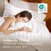 image:imageBedsure Striped Sheets Queen SizeFits Mattresses Up to 16 Deep4 Piece Breathable Bed Sheets Imitation Cotton Textured Jacquard Dobby Stripe Bedsheet amp Pillowcases for KidsWomenMenBeigeStriped  White