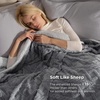 image:imageBedsure Bundle of Satin Pillowcase 20x30 amp 1 Sherpa Cable Blanket 50x60