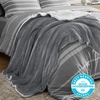 image:imageBedsure Bundle of Satin Pillowcase 20x30 amp 1 Sherpa Fleece Blanket 50x60
