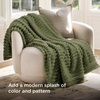 image:imageBedsure Cypress Fleece Blanket amp Throw Pillow Covers Sage Green