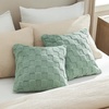 image:imageBedsure Queen Comforter amp Throw Pillow Covers 18x18 Inch Pack of 2 Green
