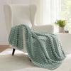 image:imageBedsure Sage Green Fleece Blanket amp Throw Pillow Covers Sage Green