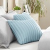 image:imageBedsure Sea Blue Fleece Blanket amp Throw Pillow Covers Sea Blue