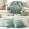 image:imageBedsure Sage Green Fleece Blanket amp Throw Pillow Covers Sage Green