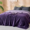 image:imageBedsure Waterproof Blanket for Bed Queen Size 86x90 Soft Flannel Fleece Leakproof Throw Blanket Couch Cover Protector for Large Dogs Pet for Camping Travel GreyEggplant