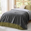 image:imageBedsure Waterproof Blanket for Bed Queen Size 86x90 Soft Flannel Fleece Leakproof Throw Blanket Couch Cover Protector for Large Dogs Pet for Camping Travel GreyGrey