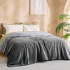 image:imageBedsure Waterproof Blanket for Bed Queen Size 86x90 Soft Flannel Fleece Leakproof Throw Blanket Couch Cover Protector for Large Dogs Pet for Camping Travel GreyGrey