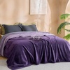 image:imageBedsure Waterproof Blanket for Bed Queen Size 86x90 Soft Flannel Fleece Leakproof Throw Blanket Couch Cover Protector for Large Dogs Pet for Camping Travel GreyEggplant
