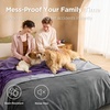 image:imageBedsure Waterproof Blanket for Bed Queen Size 86x90 Soft Flannel Fleece Leakproof Throw Blanket Couch Cover Protector for Large Dogs Pet for Camping Travel GreyGrey
