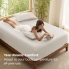 image:imageBedsure Queen Fitted Sheet Only 100 Rayon Derived from Bamboo Breathable amp Soft PureWoven Cooling Bottom Sheet for Hot Sleepers Deep Pocket Up to 18 with 4 Elastic Corner Straps BlackBeige