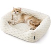 image:imageBedsure Washable Fluffy Cute Cat Bed for Indoor Cats amp Kitten20 Inch Cream  Bubble Fleece Kitten Bed Cuddler Cat Couch with Neck Bolster for Small Dogs Machine Washable AntiSlip Base Up to 10 lbsCream